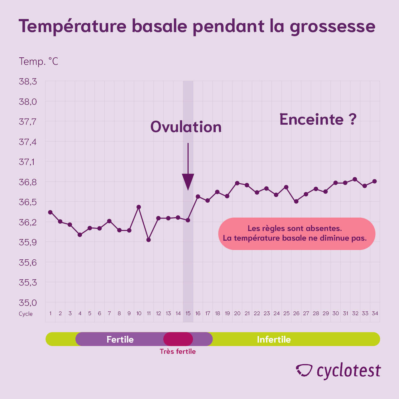 Évolution de la température corporelle basale pendant la grossesse