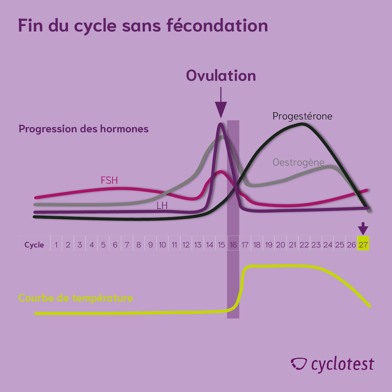 Progression hormonale à la fin du cycle