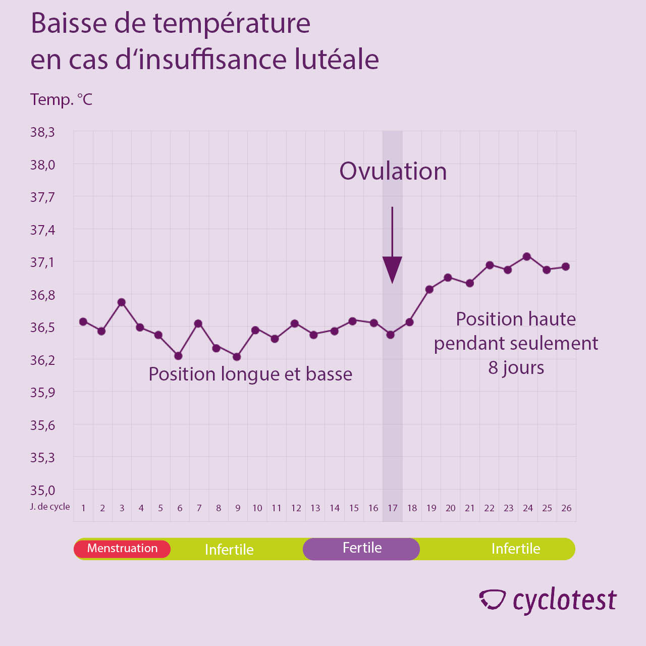 Thermomètre basal Lady pour le calcul de l'ovulation