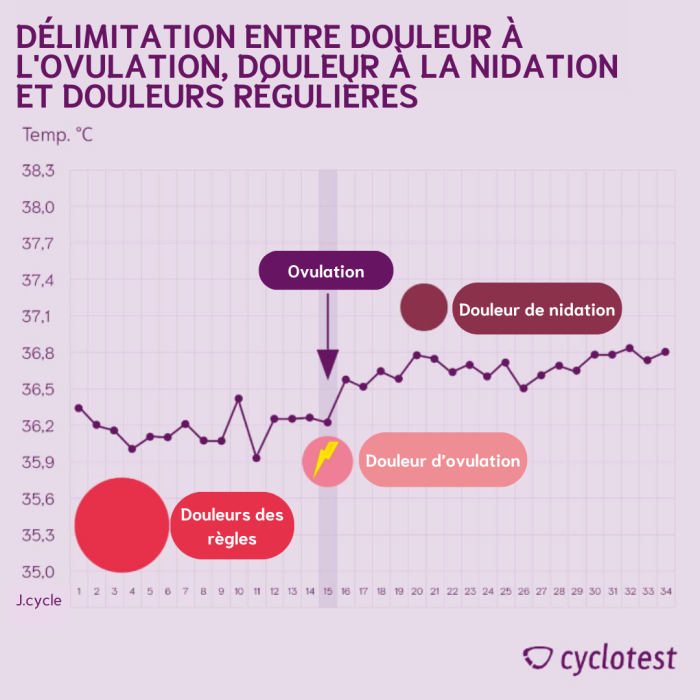 Délimitation entre douleur d'ovulation et douleur régulières