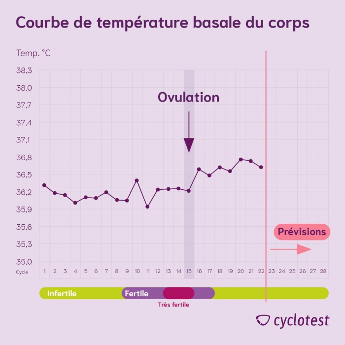 La température corporelle basale normale est-elle de 36,5°C