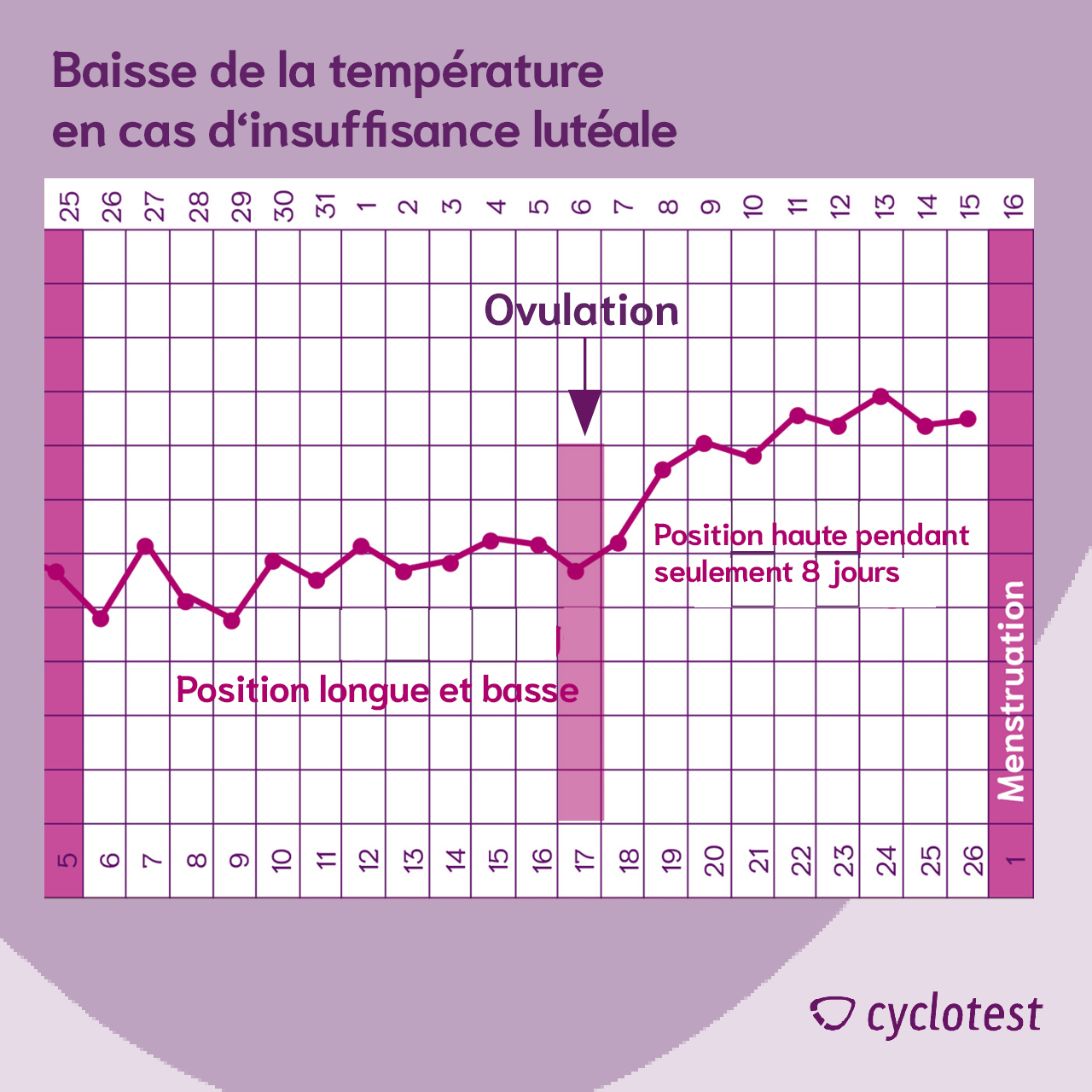 Ovulation raccourcie en cas de faiblesse lutéale | cyclotest