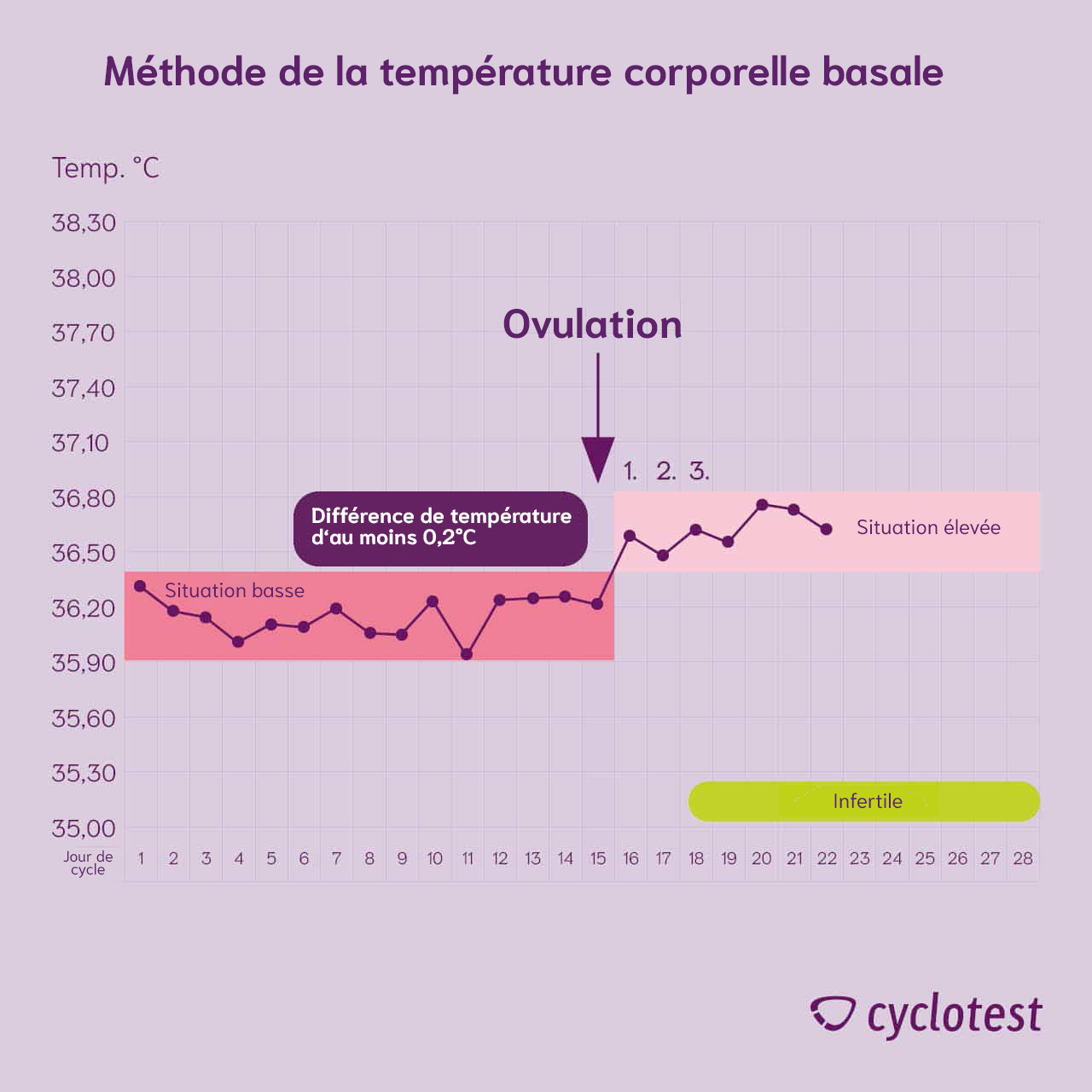 Thermomètre basal Lady pour le calcul de l'ovulation