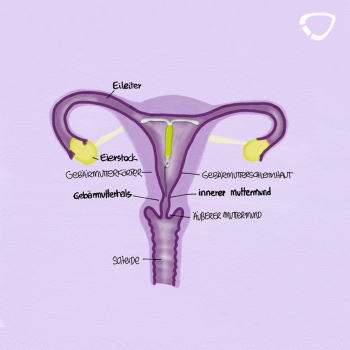 stérilet hormonal