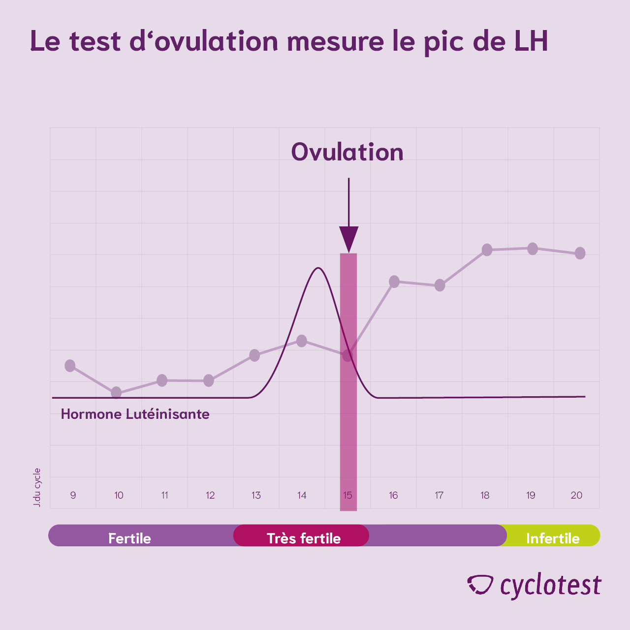 Un test d'ovulation mesure le pic de LH.