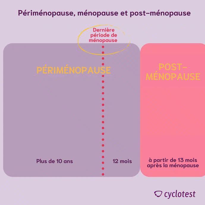 Relation temporelle entre la périménopause, la ménopause et la postménopause.