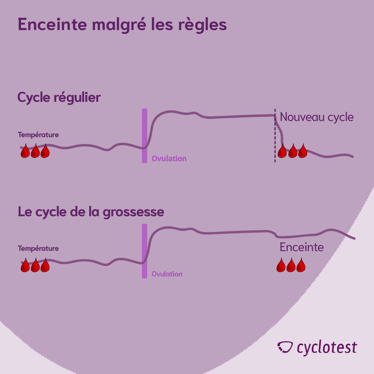 Peut-on être enceinte et avoir ses règles ? | cyclotest