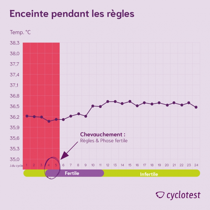 ᐅ Peuton tomber enceinte pendant les règles ? cyclotest
