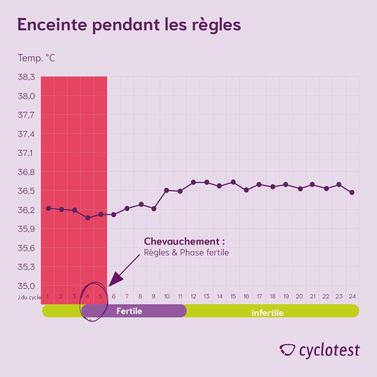 Chevauchement des règles et de la phase fertile ou de l'ovulation dans un cycle de 24 jours.