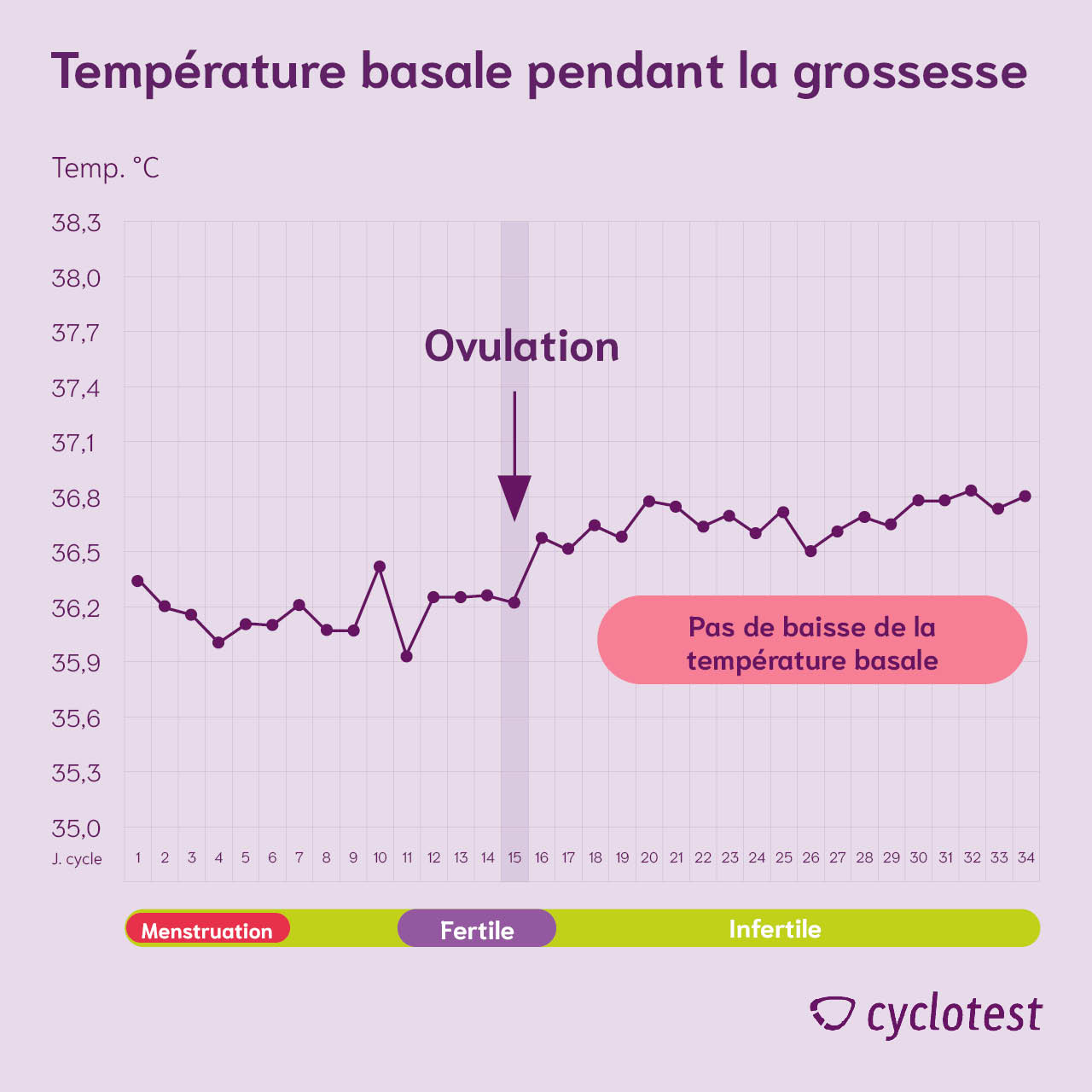 température 36.5 début de grossesse