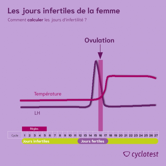 Calculer la période non féconde de la femme | © cyclotest.fr