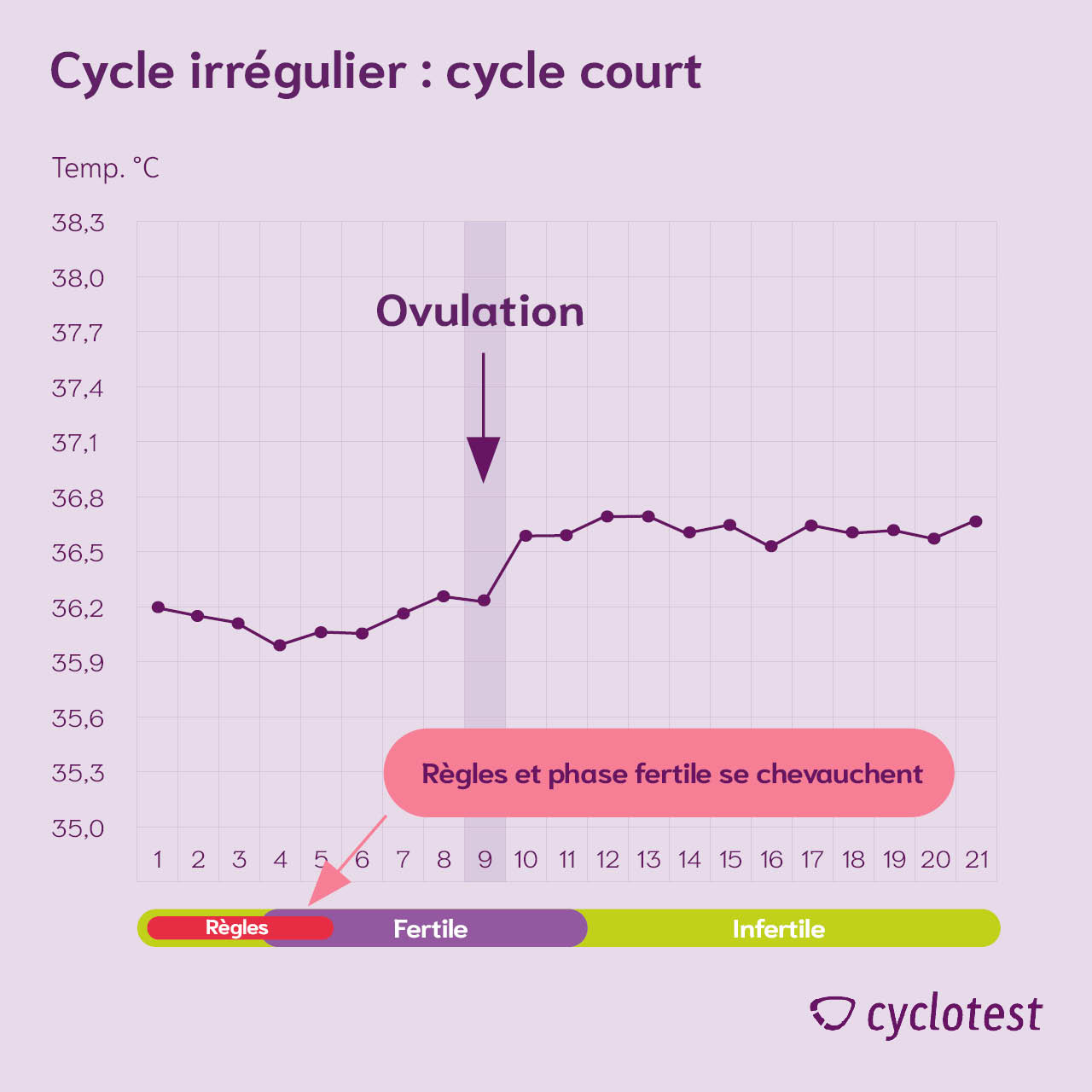 La phase fertile dans un cycle court et irrégulier de 21 jours.