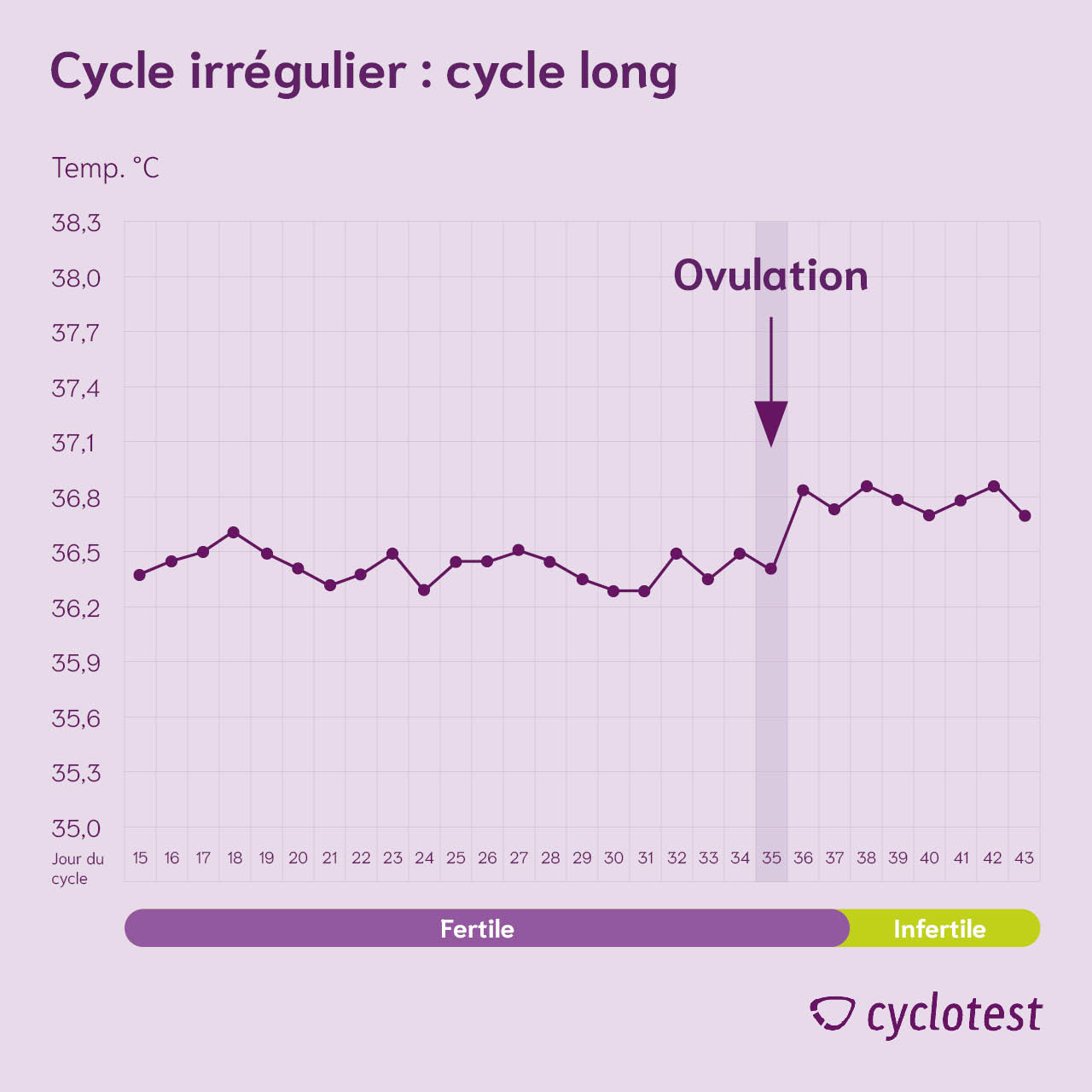 Cycle irrégulier très long avec un cycle de 43 jours.