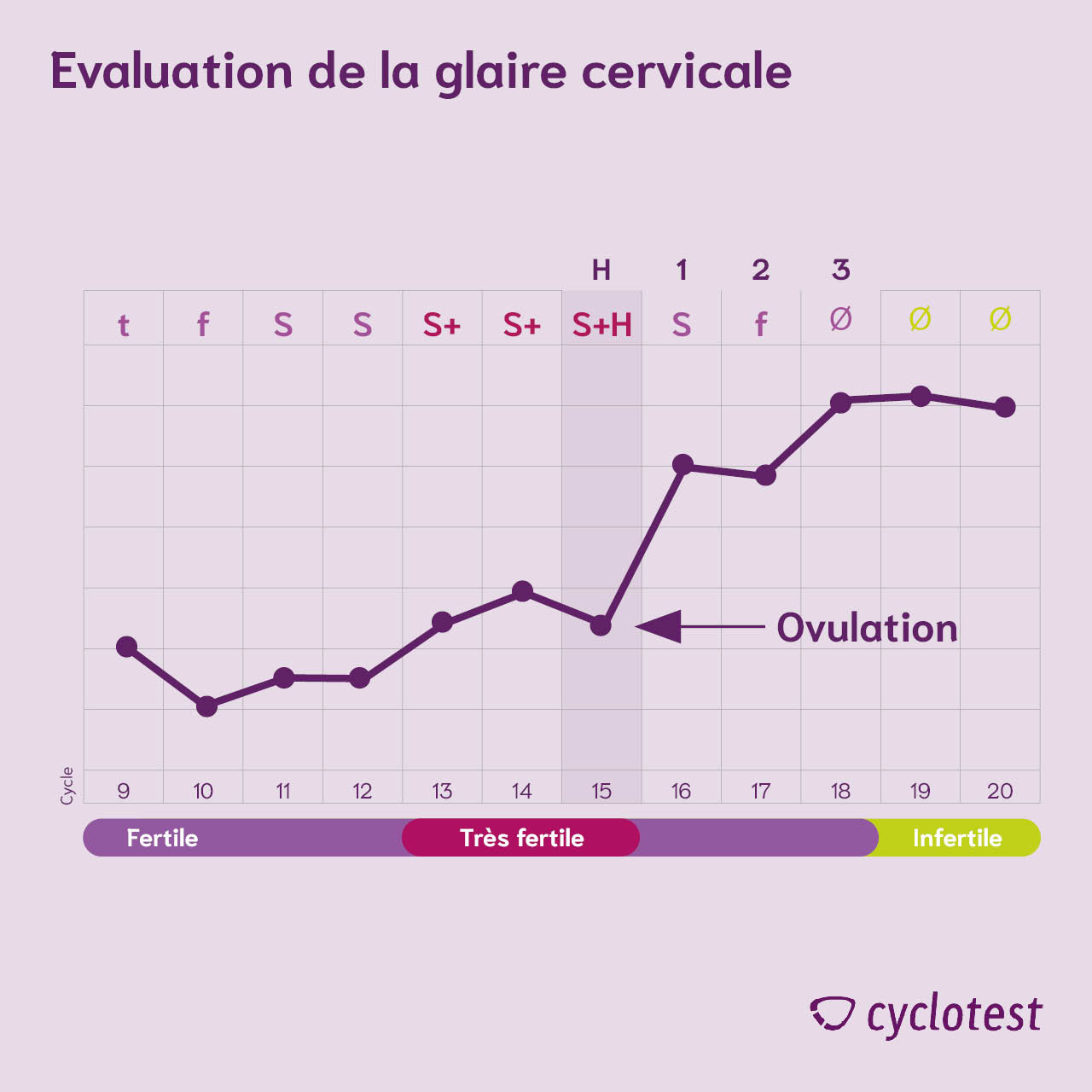 L'évaluation de la glaire vaginale : S+h plus 3 jours.