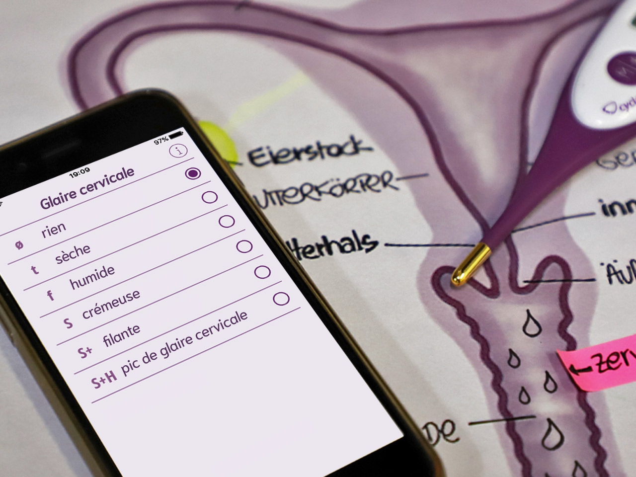 Glaire cervicale : Observation et évaluation | cyclotest