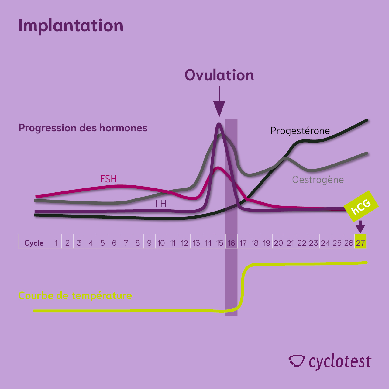 Progression du cycle pendant l'implantation | Graphique : © cyclotest